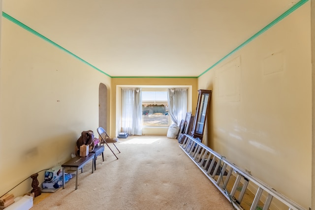 miscellaneous room featuring light carpet and crown molding