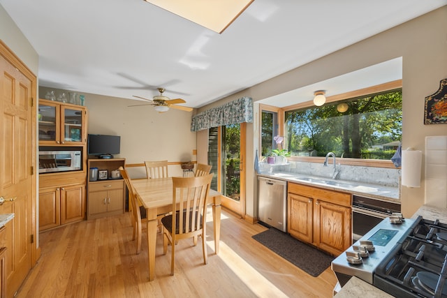 kitchen with stainless steel appliances, plenty of natural light, light hardwood / wood-style floors, and sink