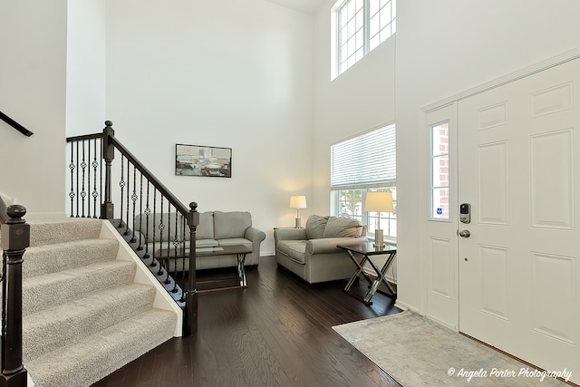 entryway featuring a high ceiling and dark wood-type flooring