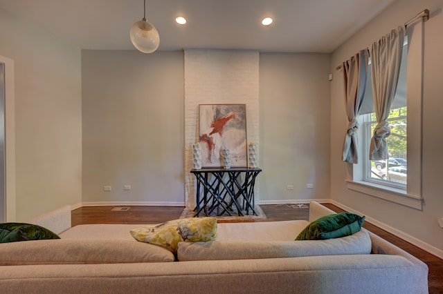 living room with dark hardwood / wood-style flooring