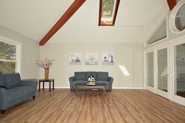 sitting room with hardwood / wood-style floors, track lighting, a skylight, and high vaulted ceiling