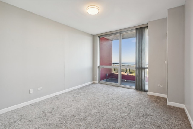 spare room featuring a water view and carpet flooring