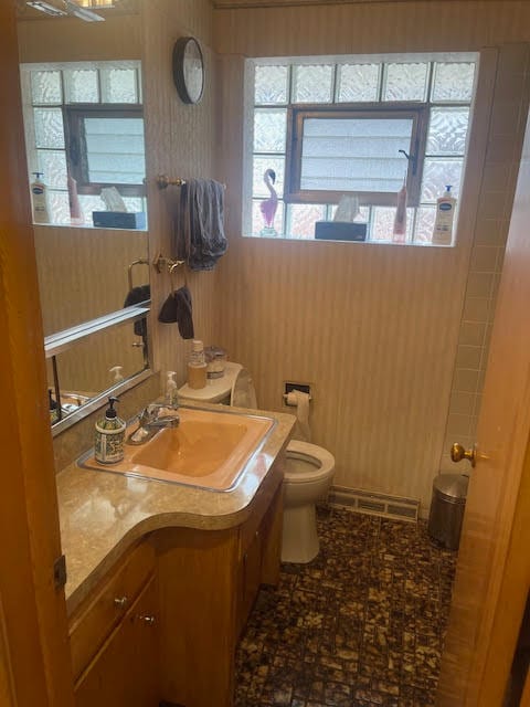 bathroom featuring vanity, wooden walls, and toilet