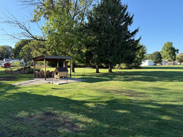 view of yard featuring a patio area