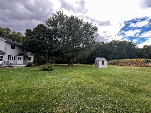 view of yard featuring a storage unit