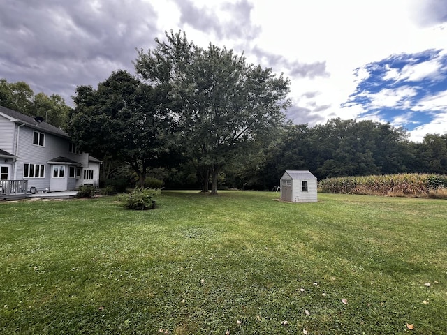 view of yard with an outdoor structure and a shed