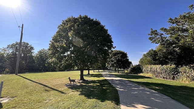 view of home's community featuring a lawn