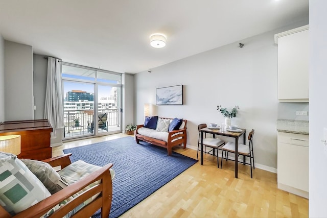 living room with light hardwood / wood-style floors