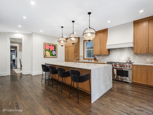 kitchen featuring designer stove, custom exhaust hood, an island with sink, and dark hardwood / wood-style flooring