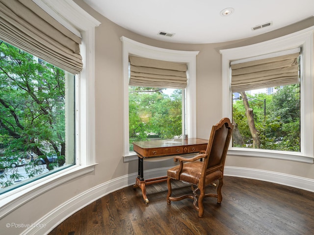 office area featuring a healthy amount of sunlight and dark hardwood / wood-style flooring