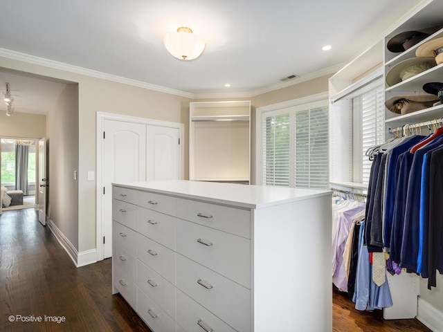 walk in closet featuring dark wood finished floors and visible vents