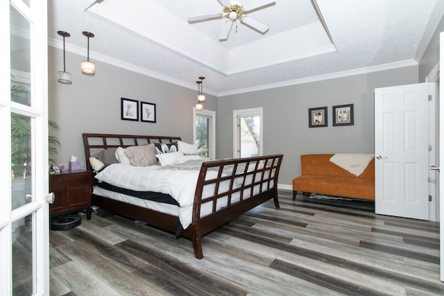 bedroom featuring ceiling fan, ornamental molding, a tray ceiling, and dark wood-type flooring