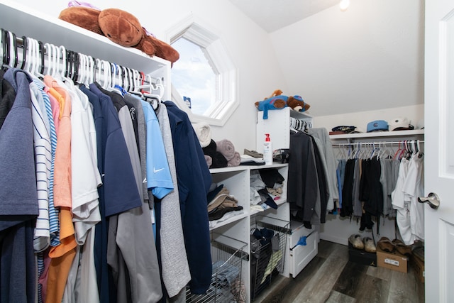 walk in closet with lofted ceiling and dark wood-type flooring