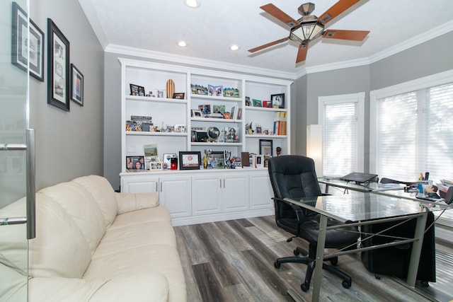 office featuring ceiling fan, dark wood-type flooring, and crown molding