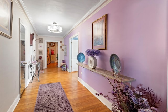 corridor featuring ornamental molding and light hardwood / wood-style flooring