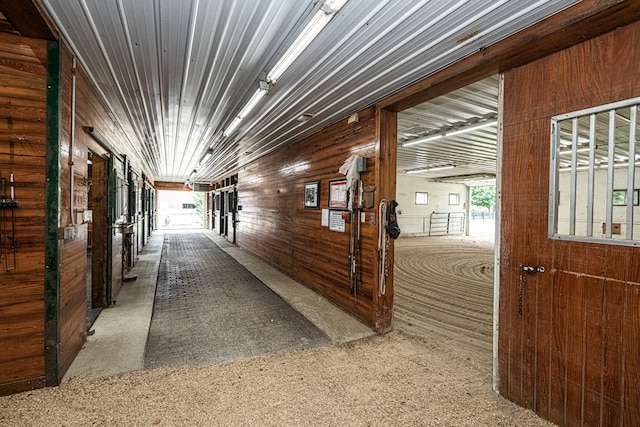 view of horse barn