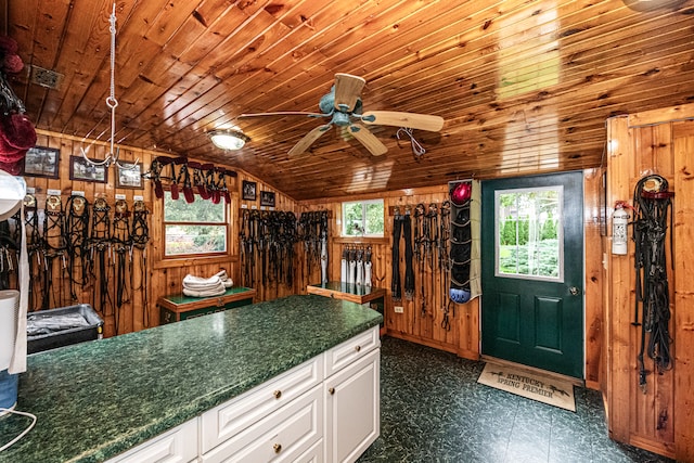 interior space with white cabinets, lofted ceiling, a wealth of natural light, and wooden ceiling