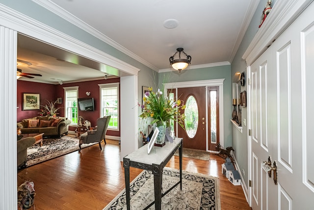 entrance foyer with ornamental molding, ceiling fan, and hardwood / wood-style flooring