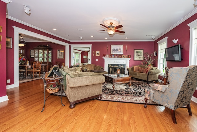 living room with ceiling fan, light hardwood / wood-style flooring, plenty of natural light, and crown molding