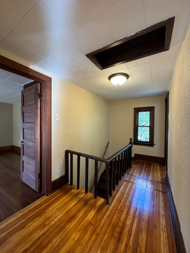 hallway featuring dark wood-type flooring