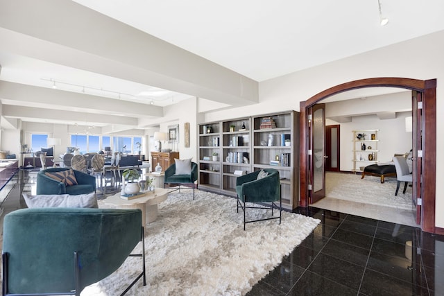 living room with rail lighting