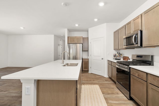 kitchen featuring light hardwood / wood-style floors, a kitchen island with sink, stainless steel appliances, and sink