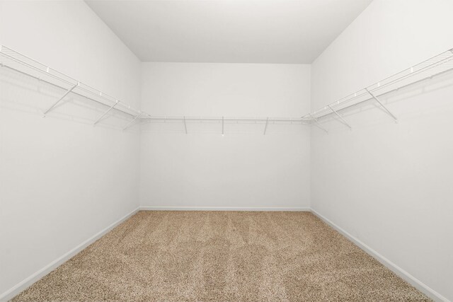 spacious closet with carpet floors