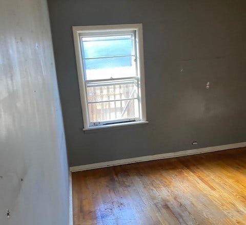 empty room with wood-type flooring