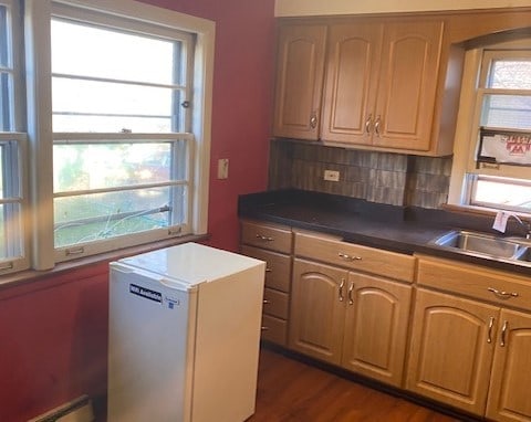 kitchen featuring sink, a wealth of natural light, and tasteful backsplash