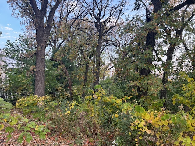 view of local wilderness