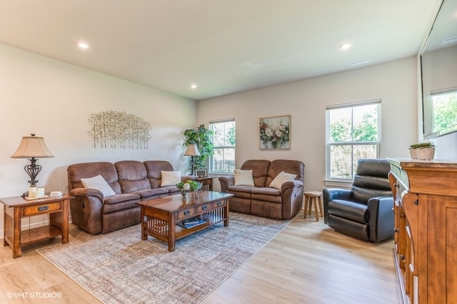 living room featuring light hardwood / wood-style floors