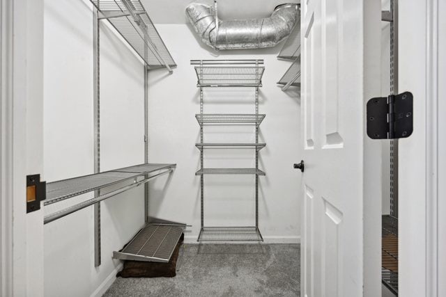 walk in closet with carpet