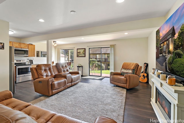 living room featuring dark hardwood / wood-style flooring