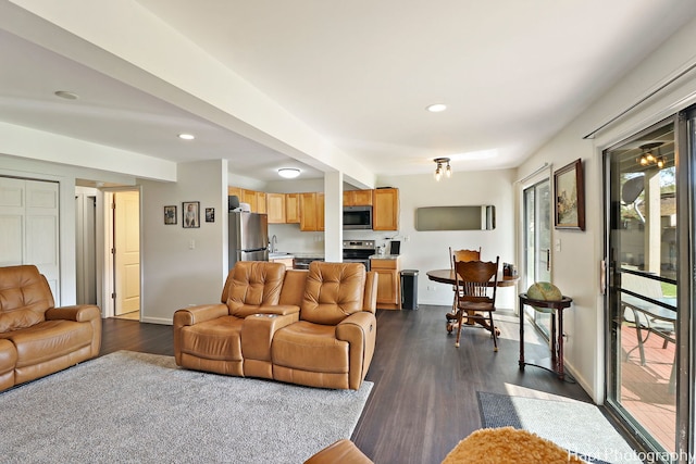 living room with dark hardwood / wood-style floors