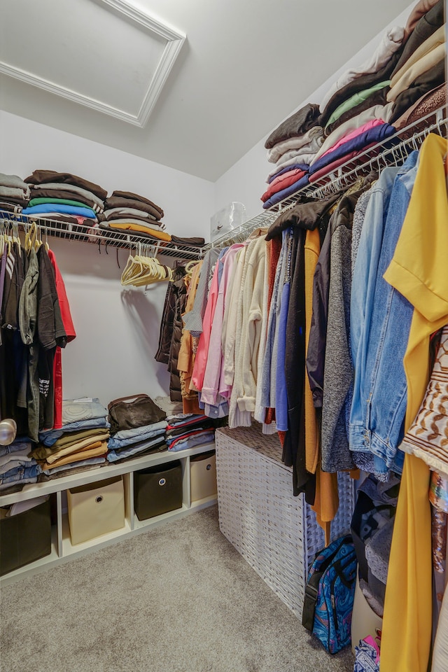 walk in closet featuring carpet flooring