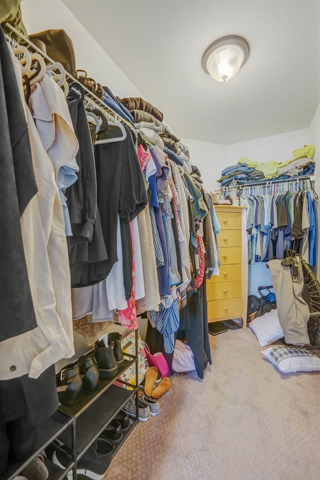 walk in closet with carpet floors