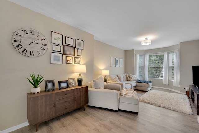 living room featuring light wood-type flooring