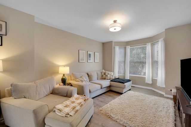 living room featuring light wood-type flooring