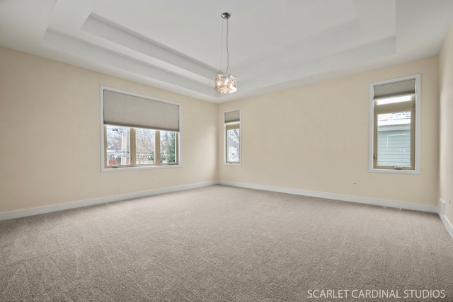 unfurnished room with a raised ceiling and carpet