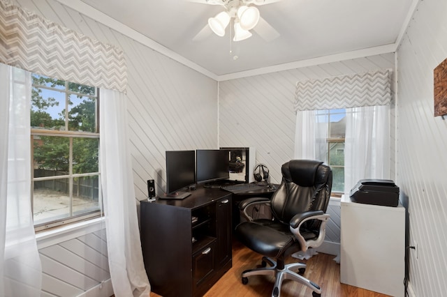 office space featuring light wood-type flooring, ornamental molding, ceiling fan, and plenty of natural light