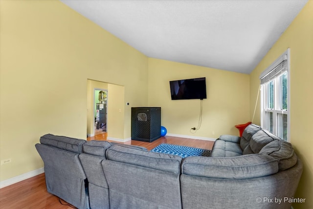 living room featuring wood-type flooring and vaulted ceiling