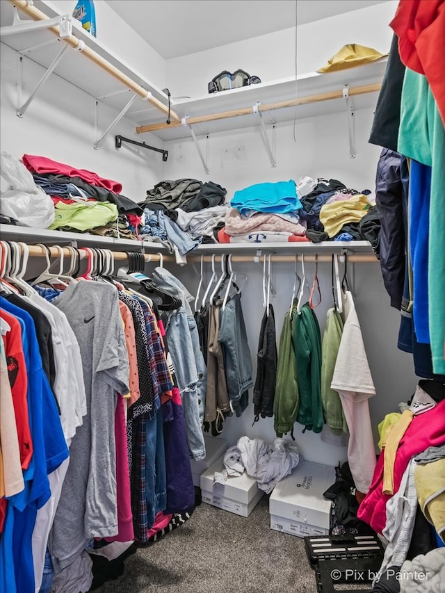 view of spacious closet