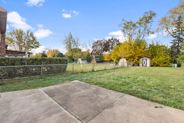 view of yard featuring a patio and a storage shed