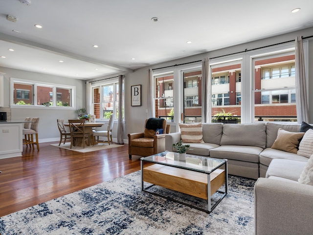 living room featuring hardwood / wood-style floors