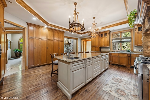 kitchen with dark hardwood / wood-style flooring, a tray ceiling, an inviting chandelier, a center island with sink, and sink