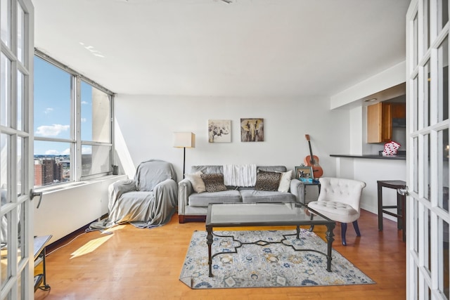 living room with light hardwood / wood-style flooring