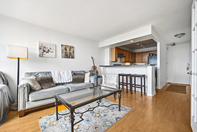 living room with light hardwood / wood-style floors