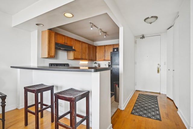 kitchen with light wood-type flooring and kitchen peninsula