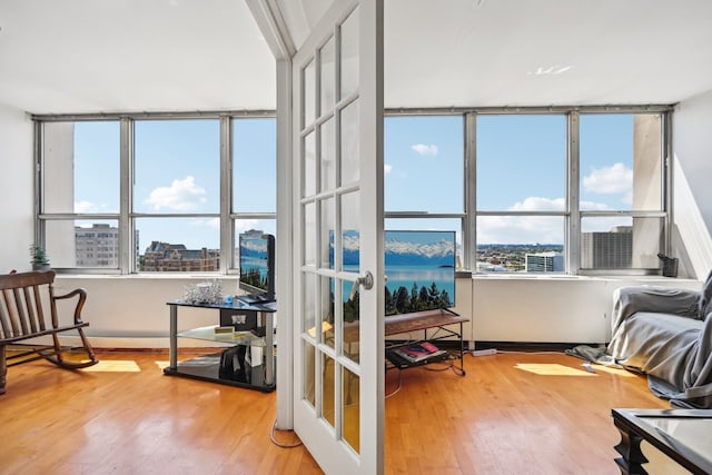 interior space with light hardwood / wood-style floors and a wealth of natural light