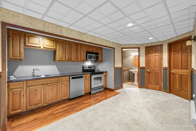 kitchen with light colored carpet, stainless steel appliances, and sink